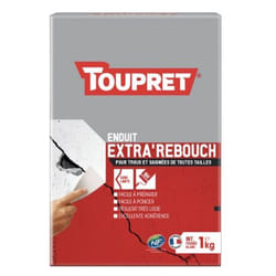 Toupret Enduit Extra'Rebouch Poudre 1 kg