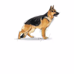 Royal Canin Maxi Adult 4 kg Adulte Légumes
