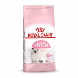 Royal Canin Kitten, Chatons, 10 kg, Antioxydants inclus