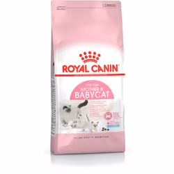 Royal Canin Mother &amp; Babycat, 2 kg, Antioxydants inclus