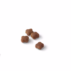 Royal Canin Mother & Babycat croquette pour chat 2 kg