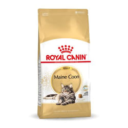 Royal Canin Maine Coon Adult croquette pour chat 10 kg Adulte