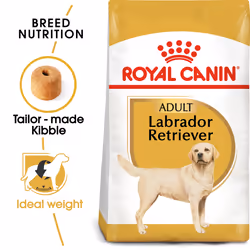 Royal Canin Labrador Retriever Adulte, Adulte, Labrador, Moyen (11 - 25kg), Bœuf, Porc, Volaille, 3 kg