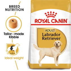 Royal Canin Labrador Retriever Adulte