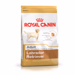 Royal Canin Labrador Retriever Adult, Adulte, Labrador, Maxi (26 - 44kg), Volaille, Riz, 12 kg