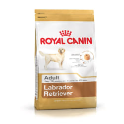 Royal Canin Labrador Retriever Adult 12 kg Adulte Volaille, Riz