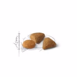 Royal Canin Feline Savour Exigent 4kg croquette pour chat Adulte