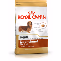 Royal Canin Dachshund Adult, Adulte, Teckel, Mini (5 - 10kg), X-Small (&lt; 4kg), 1,5 kg