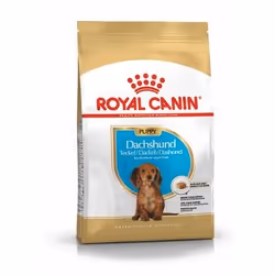 Royal Canin Dachshund Puppy 1.5kg, Chiot, Teckel, Riz, Légumes, 1,5 kg