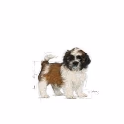 Royal Canin Shih Tzu Puppy 500 g Chiot Légumes
