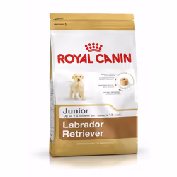 Royal Canin Labrador Retriever Junior, Chiot, Labrador, Maxi (26 - 44kg), Maïs, Volaille, Riz, 12 kg