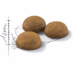 Royal Canin Home Life Indoor Long Hair croquette pour chat 10 kg Adulte