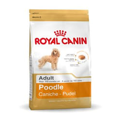 Royal Canin Poodle Adult 1,5 kg Adulte
