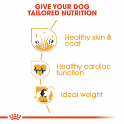 Royal Canin Golden Retriever Adulte