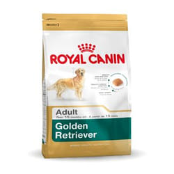 Royal Canin Golden Retriever Adult 12 kg Adulte
