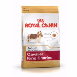 Royal Canin Cavalier King Charles Adult, Adulte, Épagneul cavalier king charle, 1,5 kg