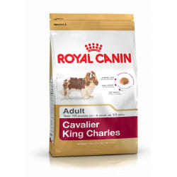 Royal Canin Cavalier King Charles Adult 1,5 kg Adulte