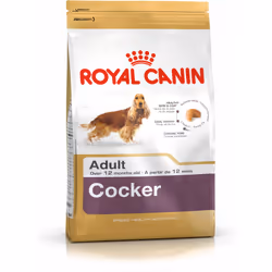 Royal Canin Cocker Adult, Adulte, Cocker, Moyen (11 - 25kg), 3 kg