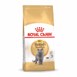 Royal Canin British Shorthair Adult, Adulte, British Shorthair, 10 kg, Antioxydants inclus