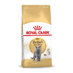 Royal Canin British Shorthair Adult croquette pour chat 10 kg Adulte