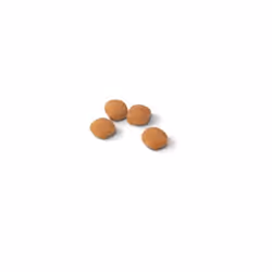Royal Canin Protein Exigent croquette pour chat 2 kg Adulte Légumes