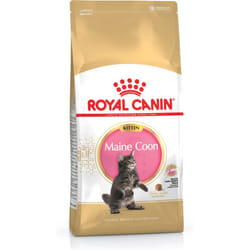 Royal Canin Maine Coon Kitten croquette pour chat 400 g Chatons Volaille, Riz