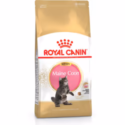 Royal Canin Maine Coon Kitten, Chatons, Maine coon, Volaille, Riz, 4 kg, Antioxydants inclus