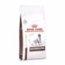 Royal Canin Veterinary Diet Chien Gastro Intestinal 75kg