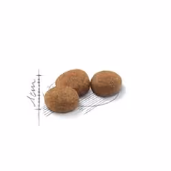 Royal Canin Sterilised 37 croquette pour chat 12 kg Adulte