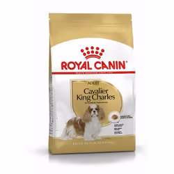 Royal Canin Cavalier King Charles Adult, Adulte, Volaille, 3 kg
