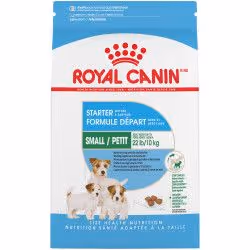 Royal Canin Starter Mother And Babydog, Adulte, Toutes races, Poulet, 1 kg