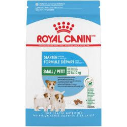 Royal Canin Starter Mother And Babydog 1 kg Adulte Poulet