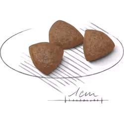 Royal Canin Medium Starter Mother & Babydog 12 kg Adulte