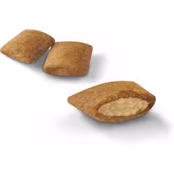 Royal Canin Senior Ageing 12+ croquette pour chat 2 kg