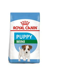 Royal Canin 3182550792929 Alimentation sèche pour chiens 800 g Adulte Riz