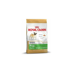 Royal Canin - Nourriture que Pug adulte Carlino Carlino Dogs adulte et mature (љ partir de 10 mois) - 3kg