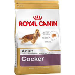 Royal Canin Cocker Adult 12 kg Adulte Maïs, Volaille, Riz