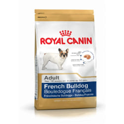 Royal Canin French Bulldog Adult 3 kg Adulte