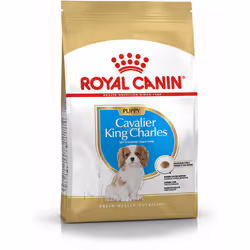 Royal Canin Cavalier King Charles3182550813051, Adulte, Toutes races, X-Small (&lt; 4kg), Volaille, 1,5 kg