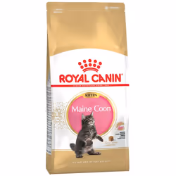 Royal Canin Maine Coon Kitten, Chatons, Maine coon, Volaille, 2 kg, Antioxydants inclus