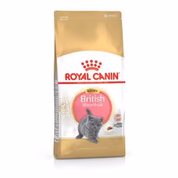 Royal Canin British Shorthair Kitten, Adulte, Volaille, 400 g