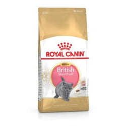 Royal Canin British Shorthair Kitten croquette pour chat 400 g Adulte Volaille
