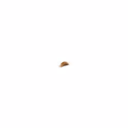Royal Canin British Shorthair Kitten croquette pour chat 400 g Adulte Volaille