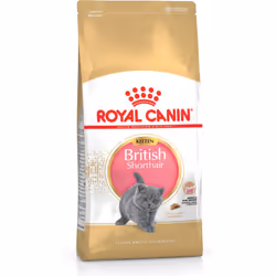 Royal Canin British Shorthair Kitten, Chatons, British Shorthair, Volaille, Riz, Légumes, 2 kg, Antioxydants inclus