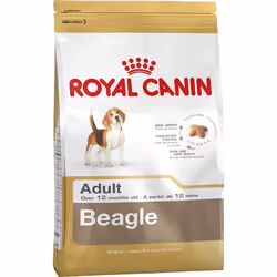 Royal Canin Beagle Adult, Adulte, Beagle, Moyen (11 - 25kg), Maïs, Volaille, 12 kg