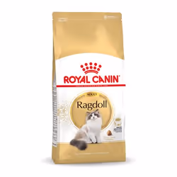 Royal Canin Ragdoll Adult, Adulte, Ragdoll, 2 kg