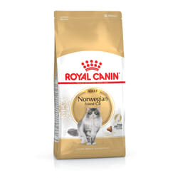 Royal Canin Norwegian Forest Cat Adult croquette pour chat 2 kg Adulte Volaille