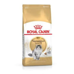 Royal Canin Norwegian Forest Cat Adult croquette pour chat 400 g Adulte Volaille