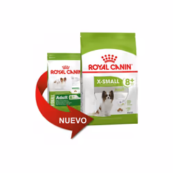 Nourriture que Royal Canin X-Petit adulte 8+ TrЏs petites chiens de race (љ partir de 8 ans) - 500g