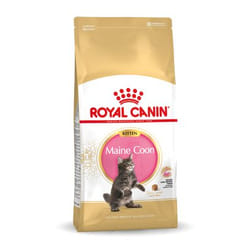 Royal Canin Maine Coon Kitten croquette pour chat 10 kg Chatons